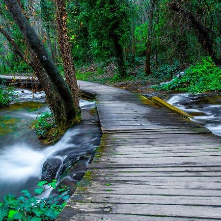 House Mellifera Otel Razvode Dış mekan fotoğraf