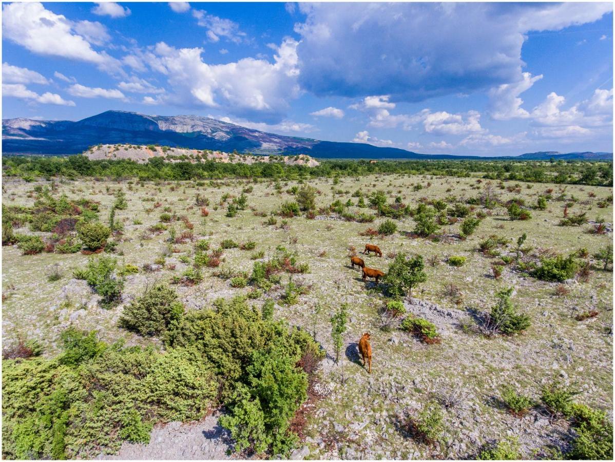 House Mellifera Otel Razvode Dış mekan fotoğraf